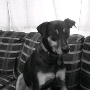 Meet your Posher, Sharon